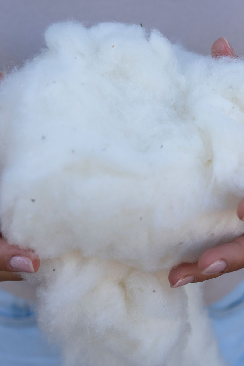 algodón virgen Sivana