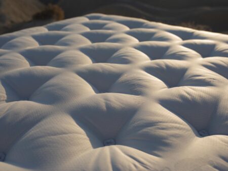 Ullassa Sivana con crin de caballo